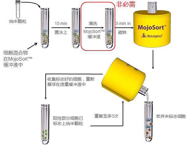 MojoSort 陽性選擇細(xì)胞分離步驟.jpg MojoSort 陽性選擇細(xì)胞分離步驟.jpg